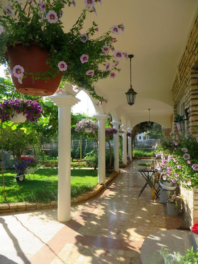 Beach Apartment Roza Biograd Oneroom - Premium Location بيوغْغاد نا موغو المظهر الخارجي الصورة