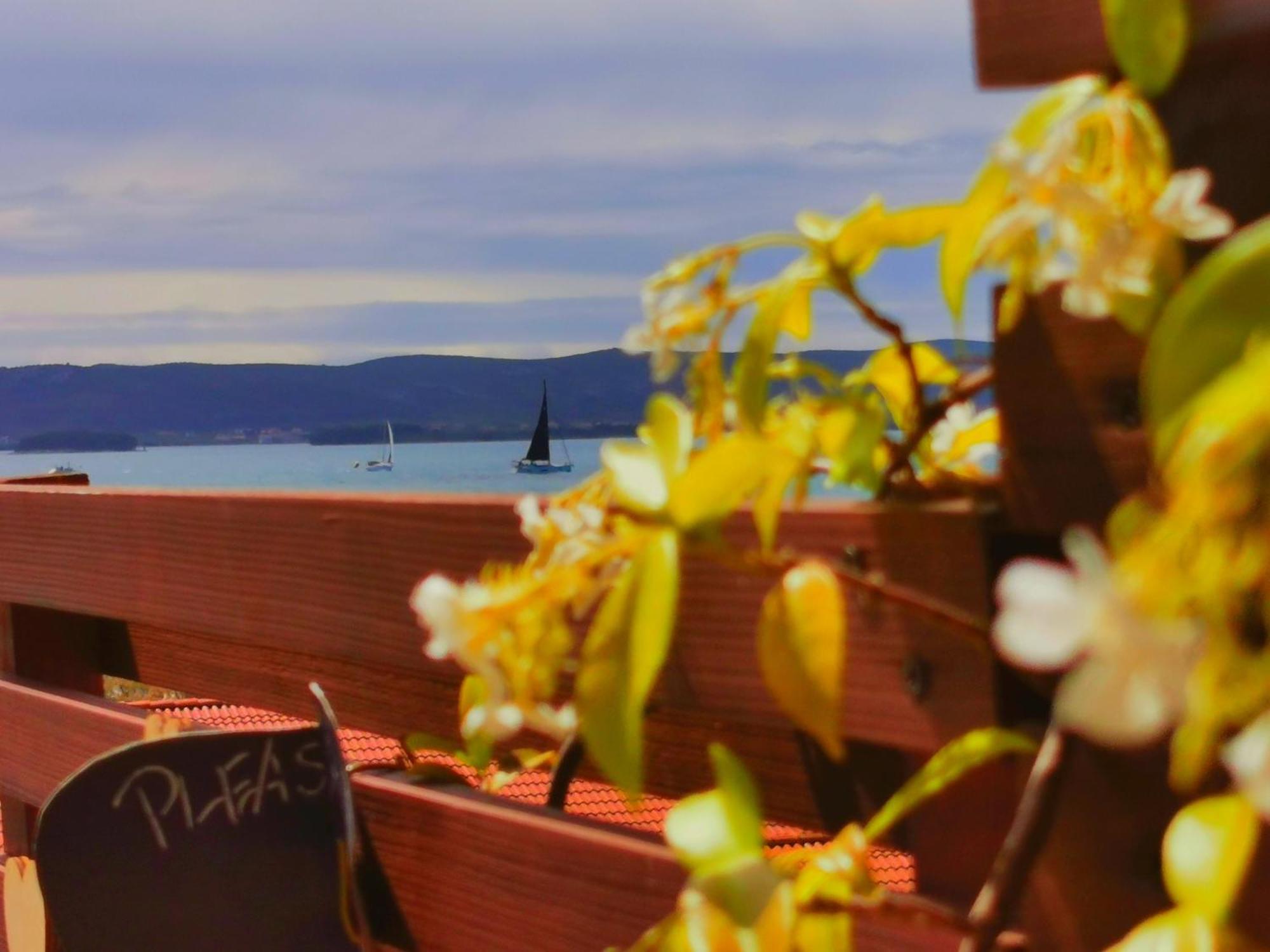 Beach Apartment Roza Biograd Oneroom - Premium Location بيوغْغاد نا موغو المظهر الخارجي الصورة